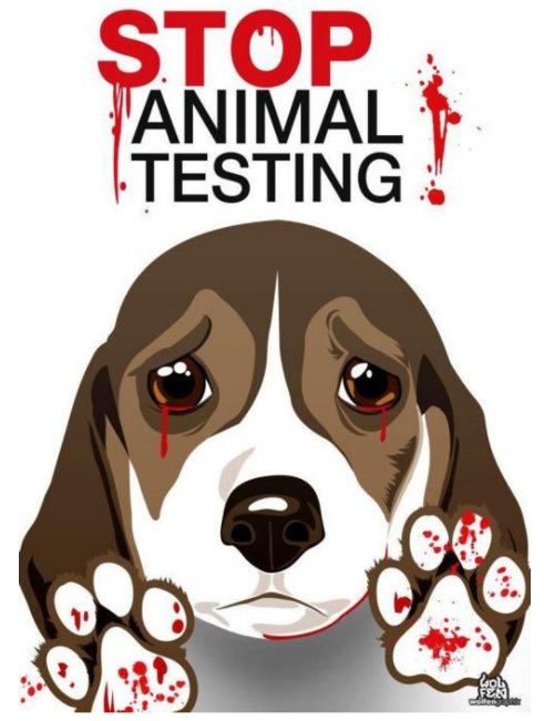 The+Humane+Decisions+organization+protests+the+use+of+animal+testing+with+an+effective+emotional+appeal.