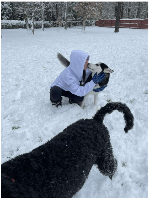 Sophomore Taylor Seal plays with her dogs on a snow day this year. (Photo courtesy of Taylor Seal)