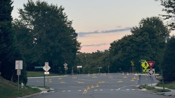 The temporary roundabout is pictured in the update on the petition from change.org.