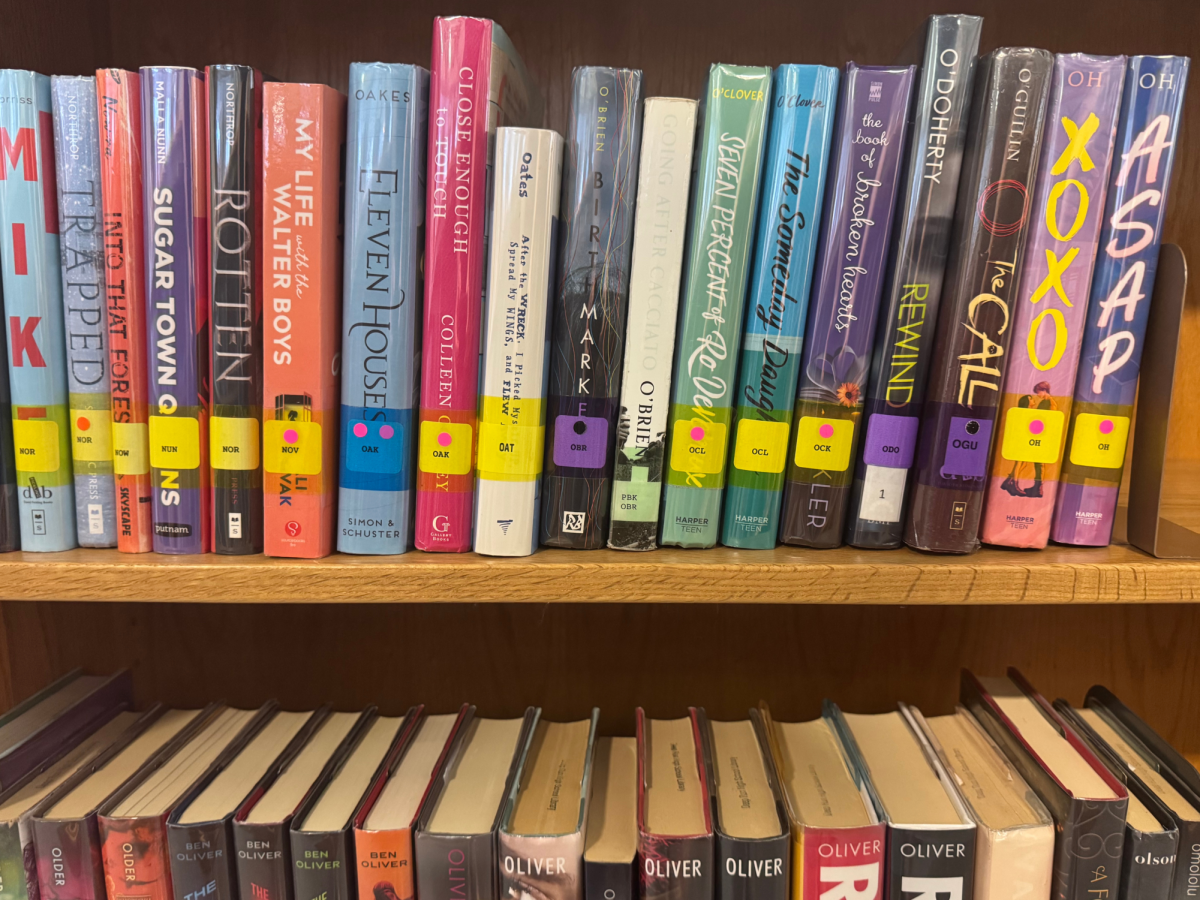 Many books in Deep Run's library and curricula could soon face challenges.