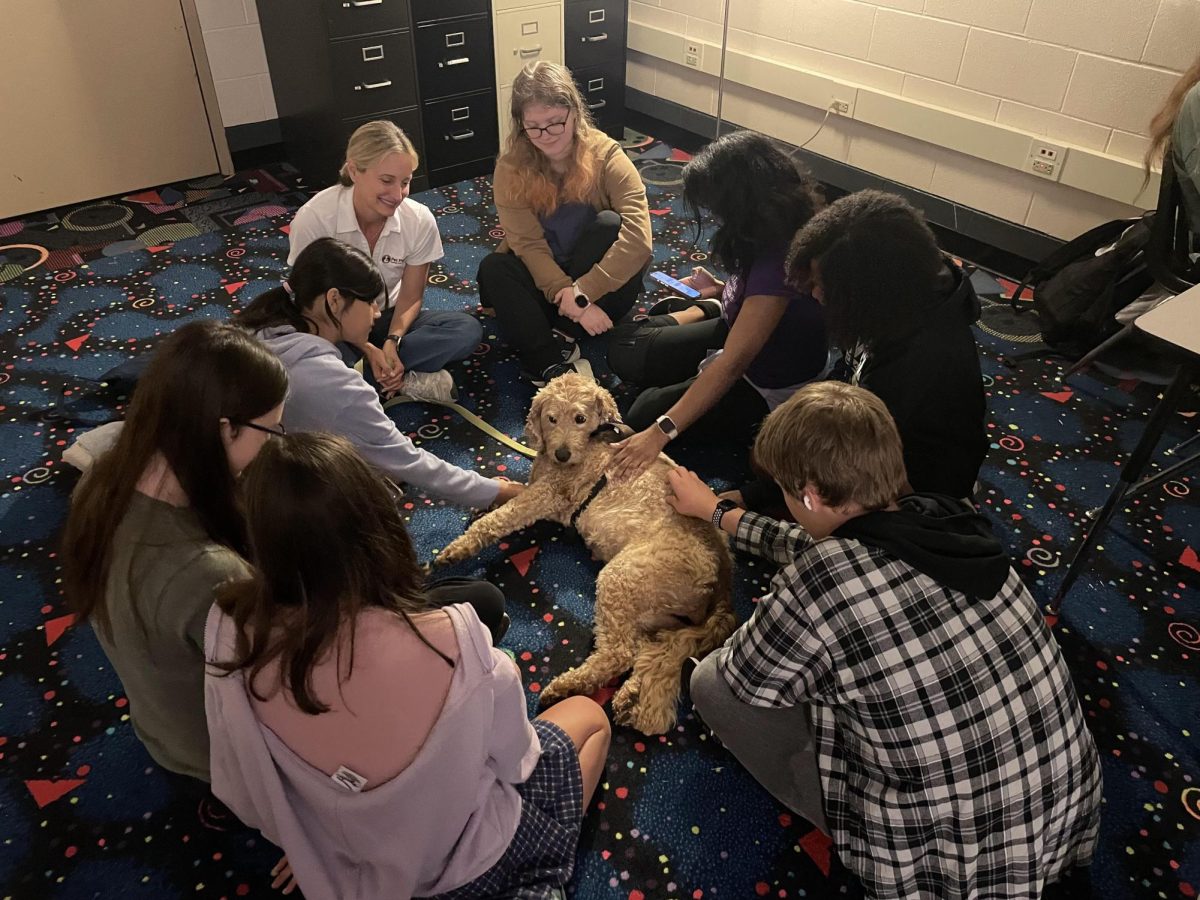 Students interact with Elsa, a therapy dog, during lunch earlier this year.
