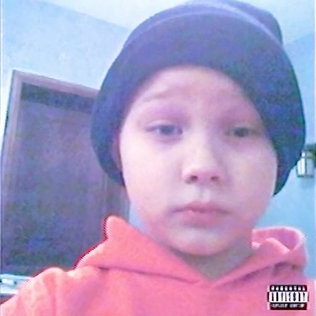 Official Album Cover of "Early Life Crisis."