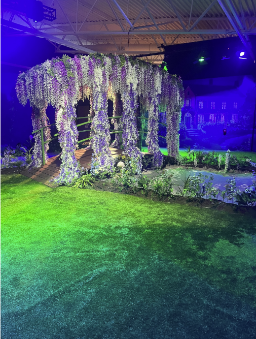 Photos from inside the Monet Immersive Experience